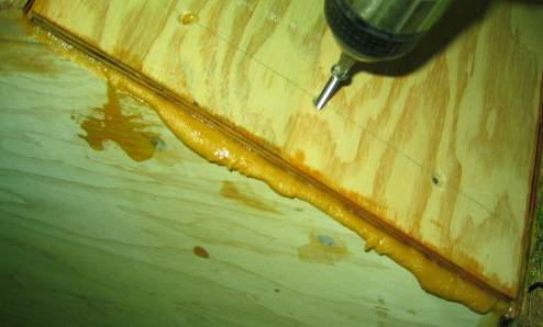 Epoxy putty squeezed out of joint as bilge panel is screwed down