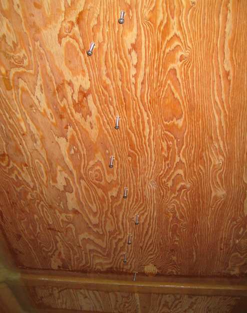 The drilled pilot holes were filled with the stainless steel screws that will clamp down 
the keel