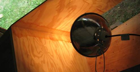 Heat lamp pointed at Bulkhead 11