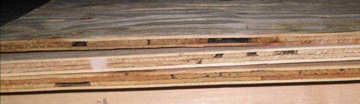 CDX plywood end grain