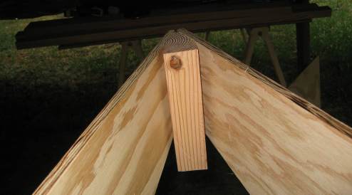 View from the back of the stem